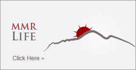 McDowell Mountain Ranch MMR Life